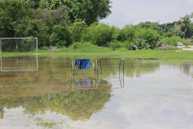 以实时查询 以实时查询
