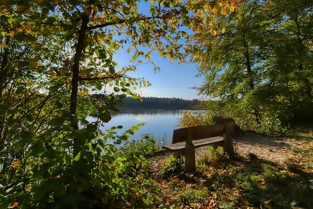 国斯诺克的 国斯诺克的