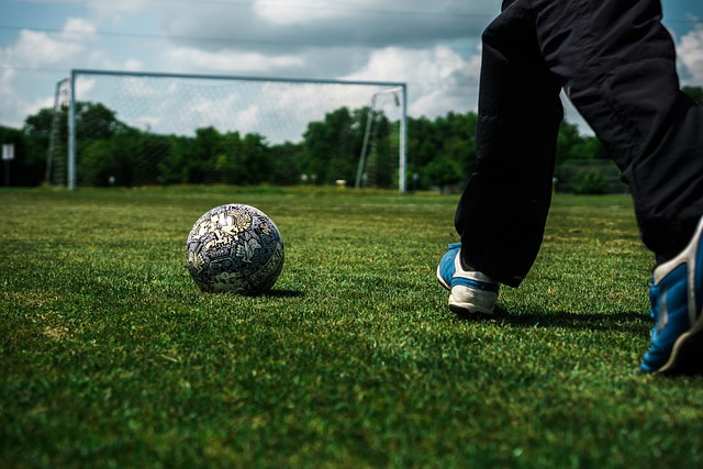 通过精心的 通过精心的